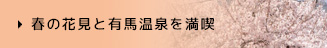 春の花見と有馬温泉を満喫