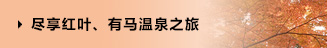 尽享红叶、有马温泉之旅