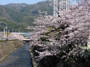 Ⓒ 一般財団法人神戸国際観光コンベンション協会